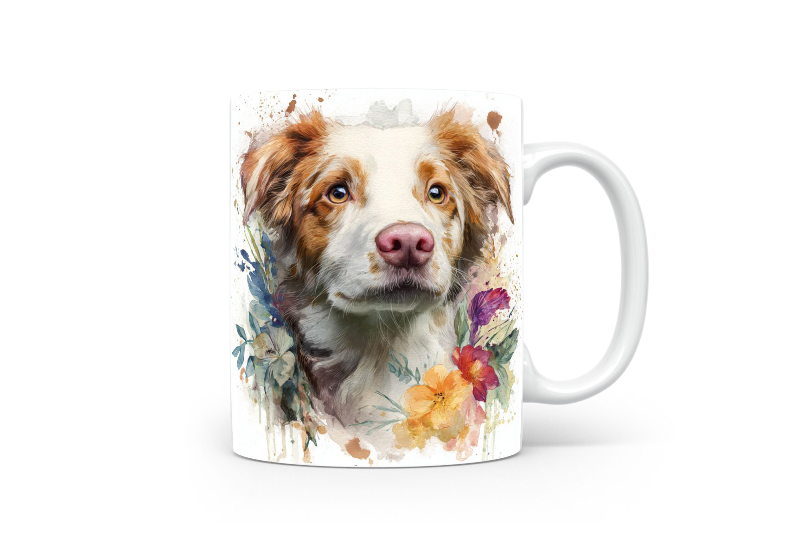 Beker Border Collie Border Collie
