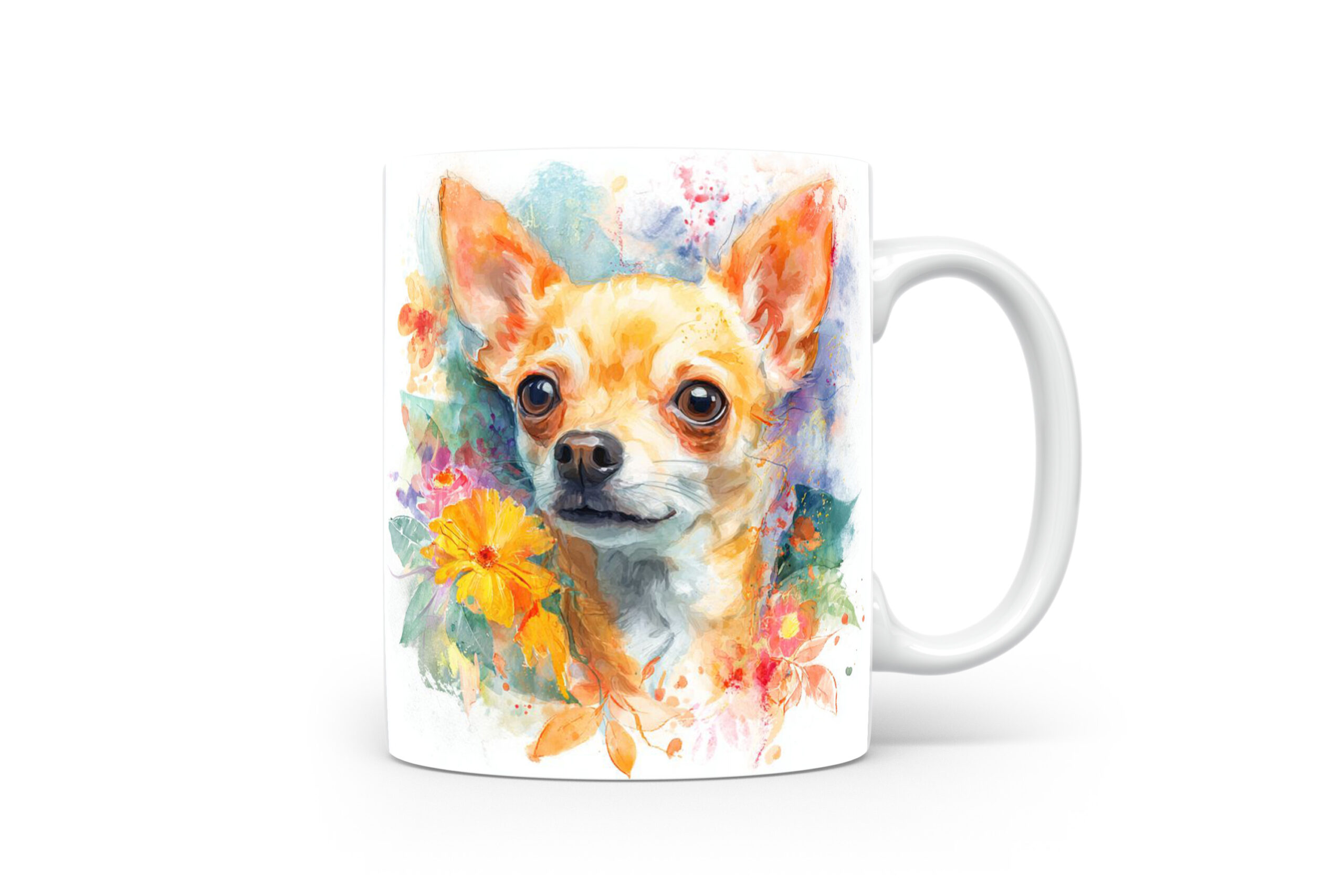 Beker Chihuahua Chihuahua
