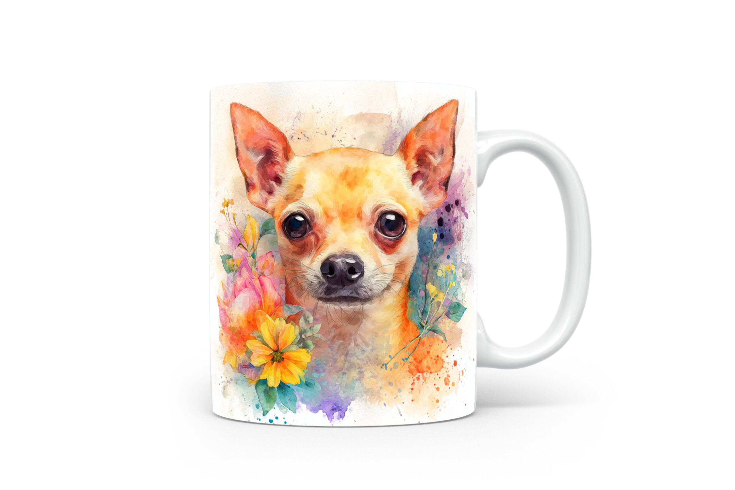 Beker Chihuahua Chihuahua