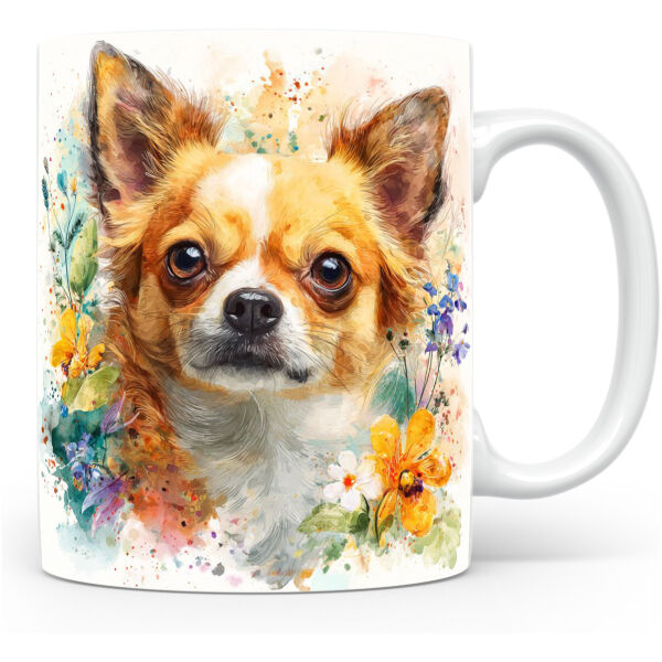 Beker Chihuahua Chihuahua