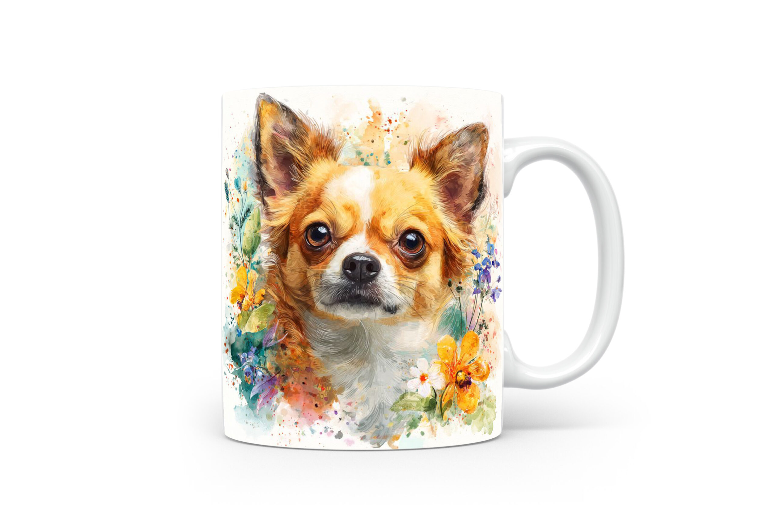 Beker Chihuahua Chihuahua