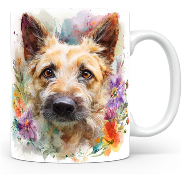 Belgische Laekense Herder