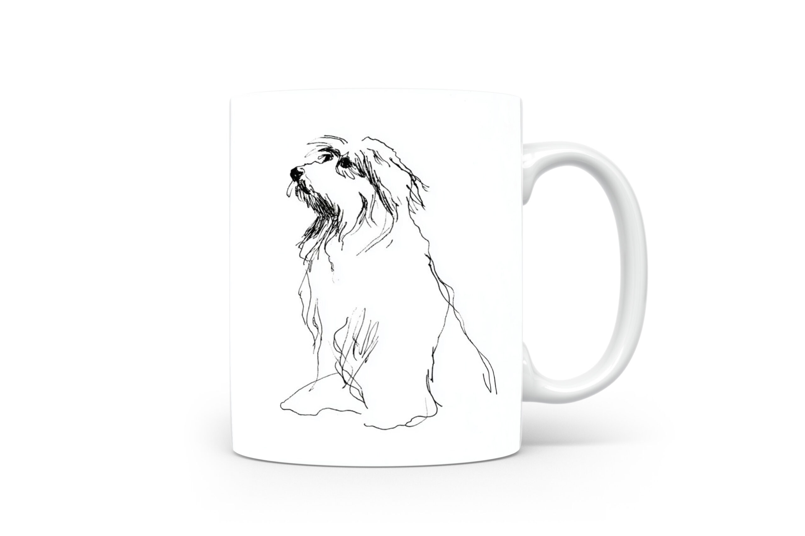 Beker Bearded Collie Bearded Collie