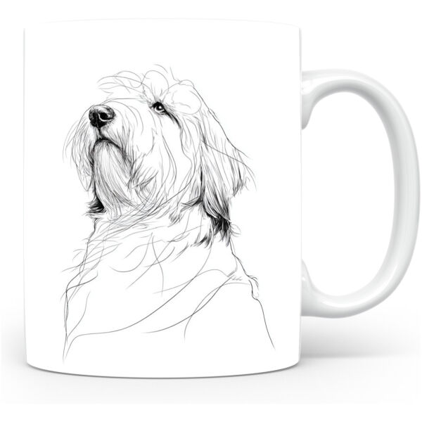 Bearded Collie