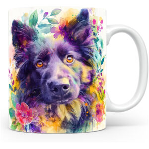 Belgische Groenendaeler