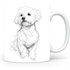 Bichon Frisé