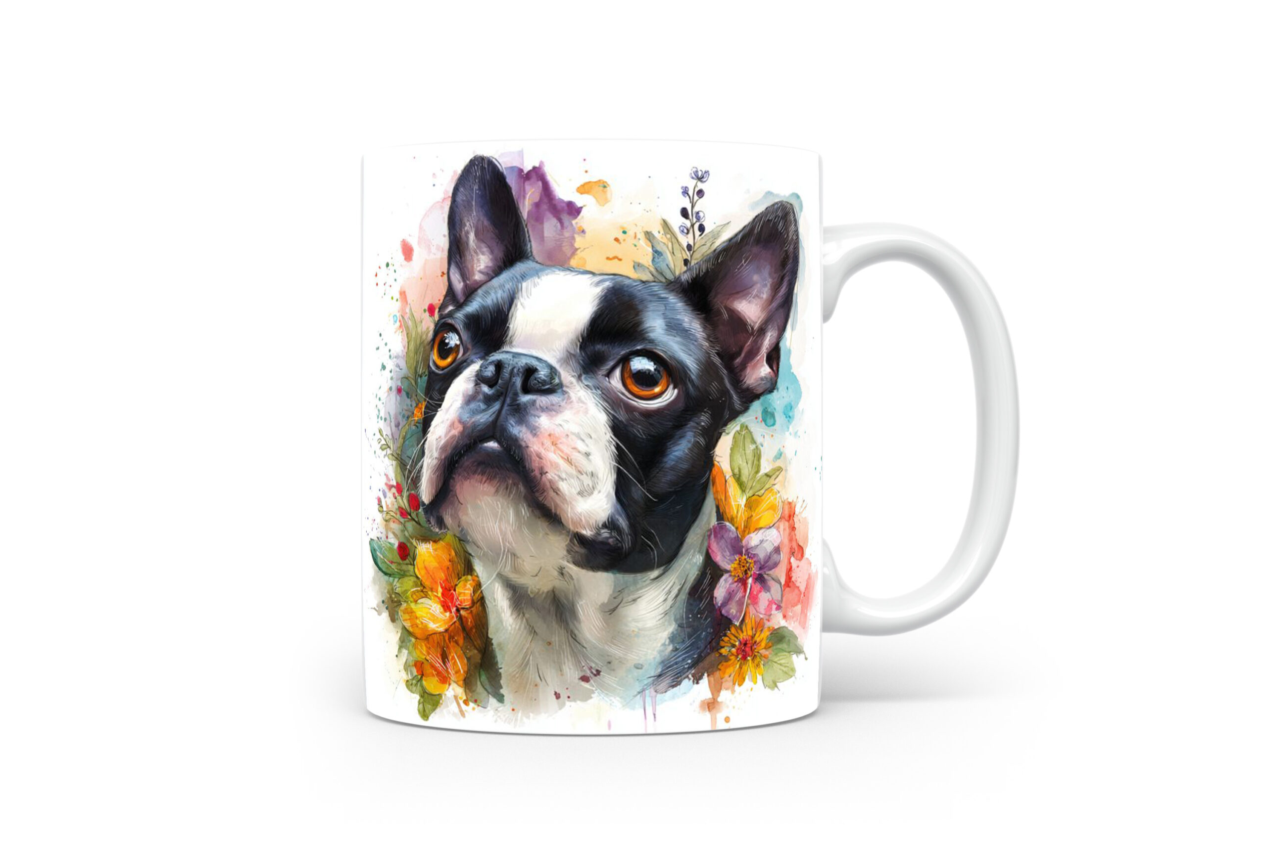 Beker Bostonterriër Bostonterriër