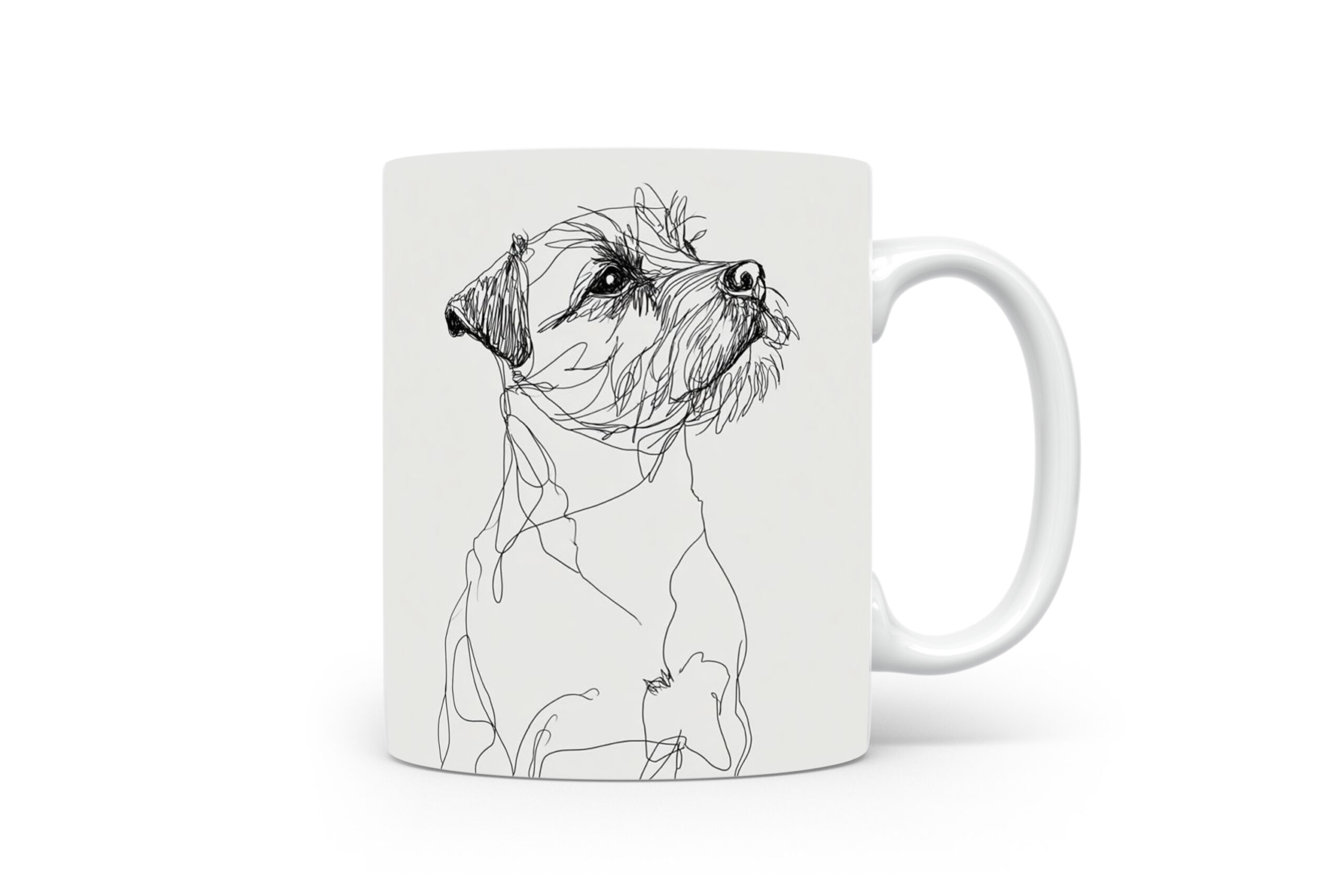 Beker Border Terrier Border Terrier