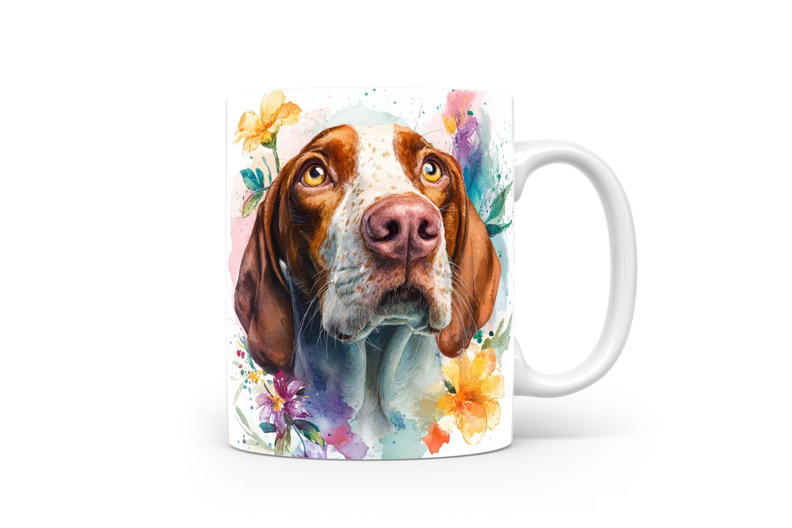 Beker Bracco Italiano Bracco Italiano