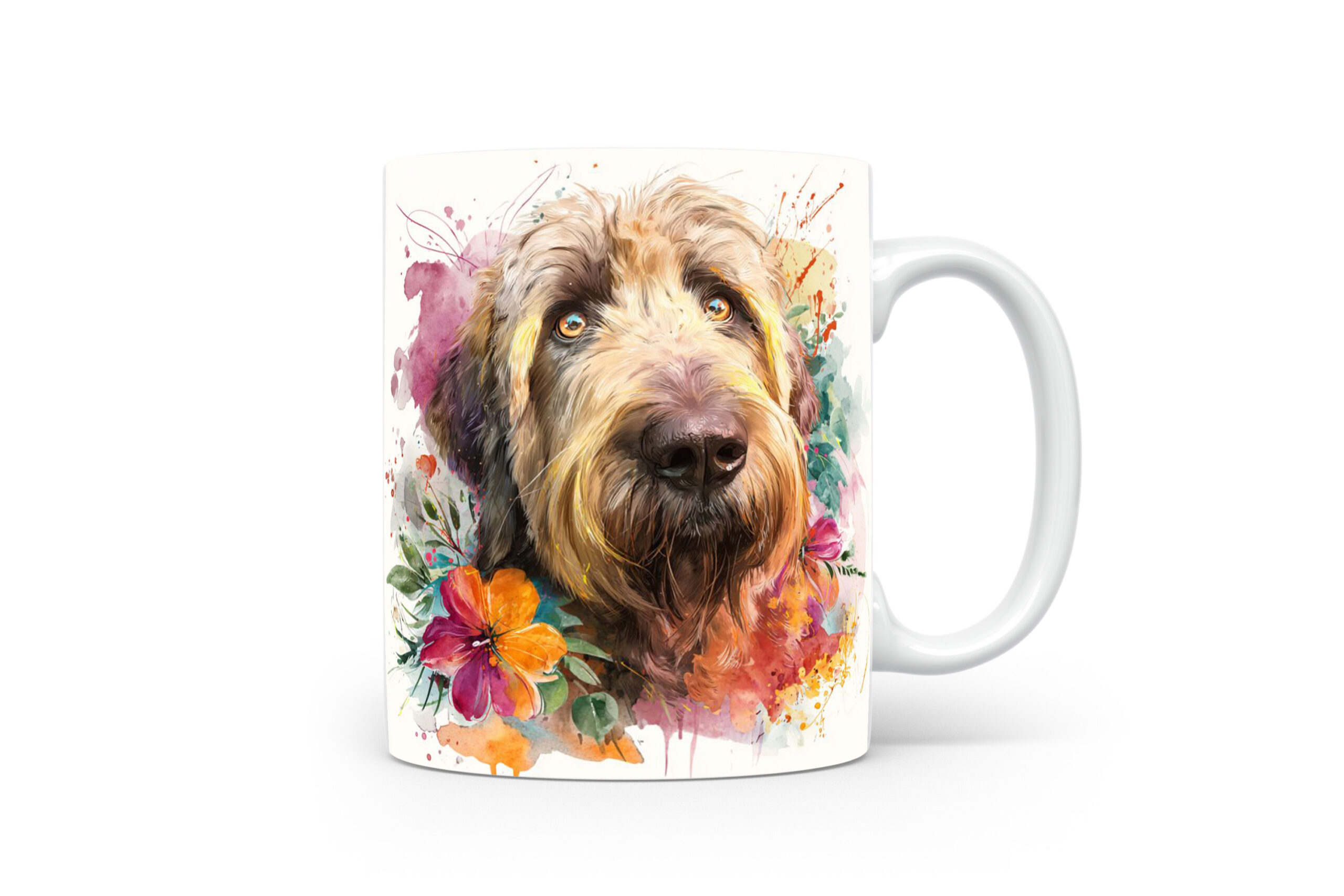 Beker Briard Briard