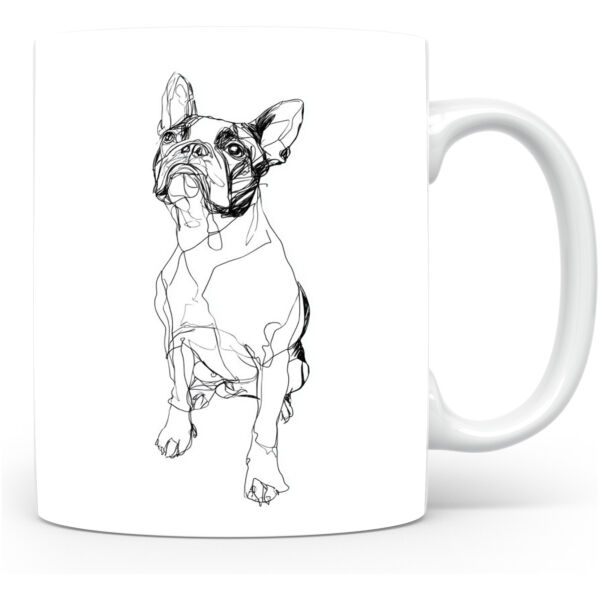 Boston Terrier