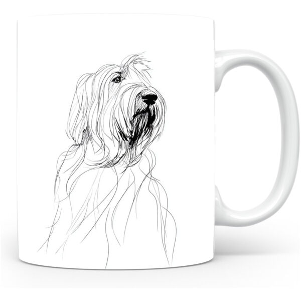 Briard