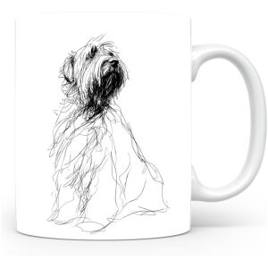 Briard