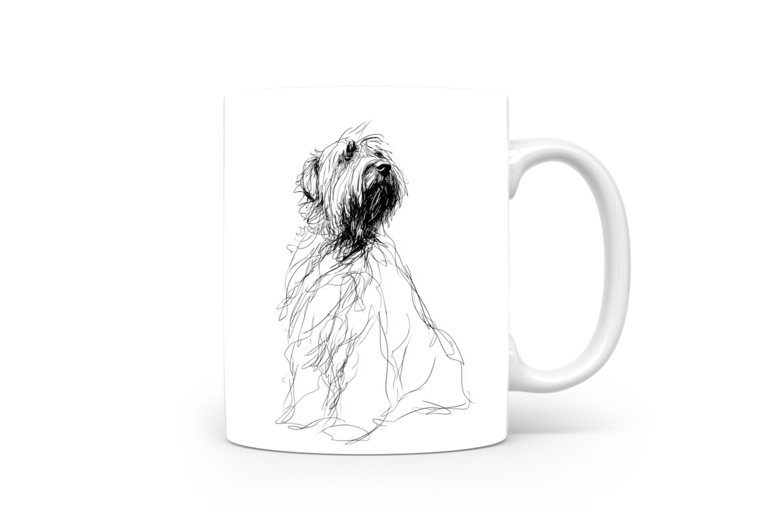 Beker Briard Briard