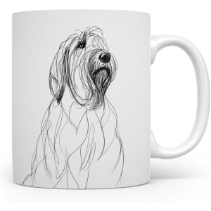 Briard