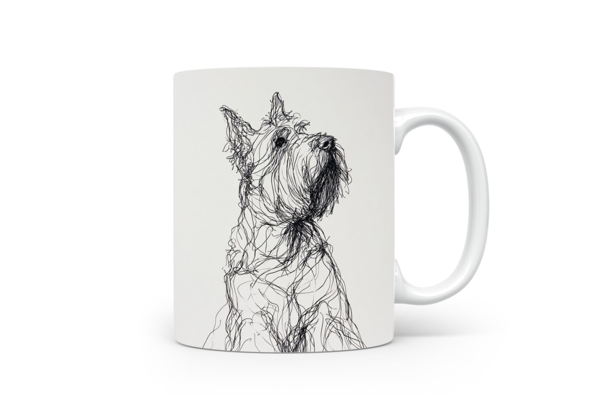 Beker Briard Briard