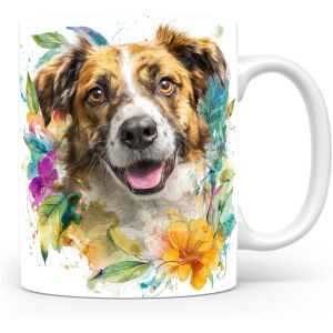 Castro Laboreiro-hond