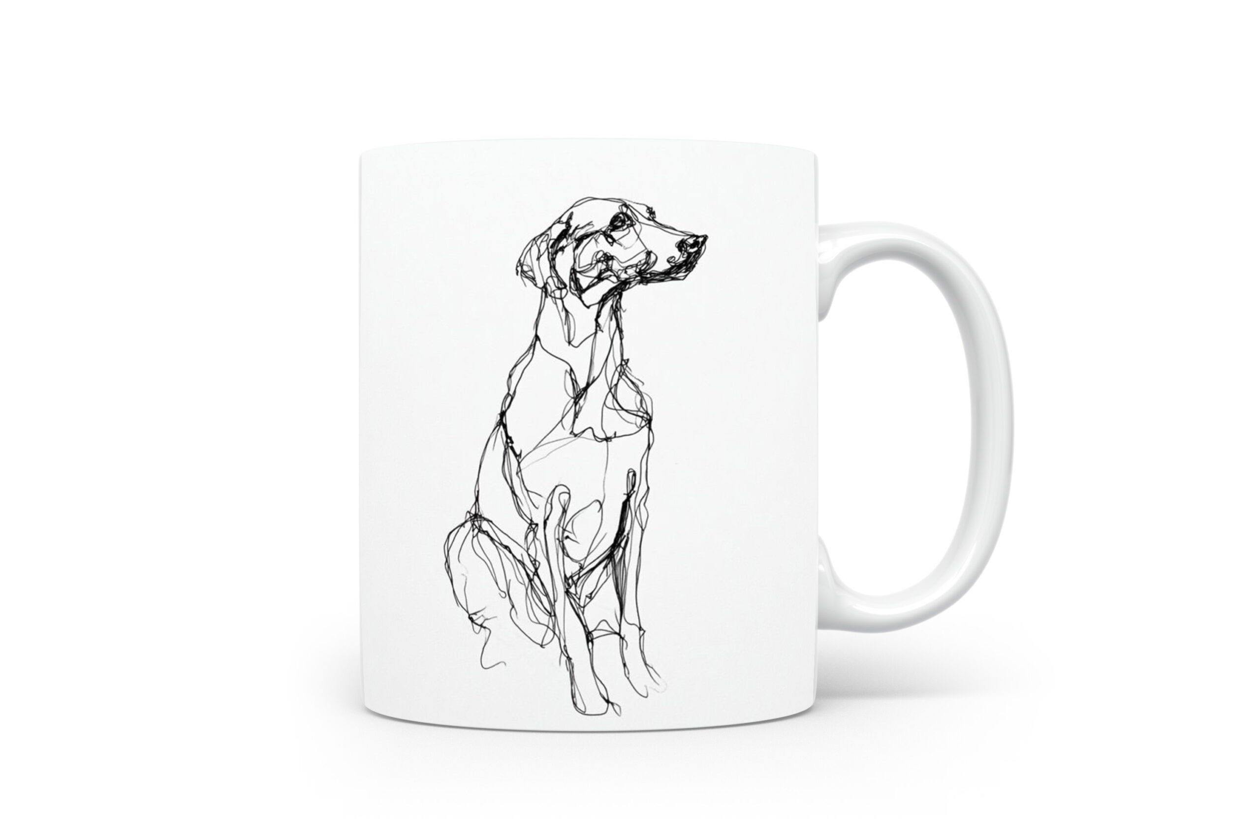Beker Podenco Canario Podenco Canario