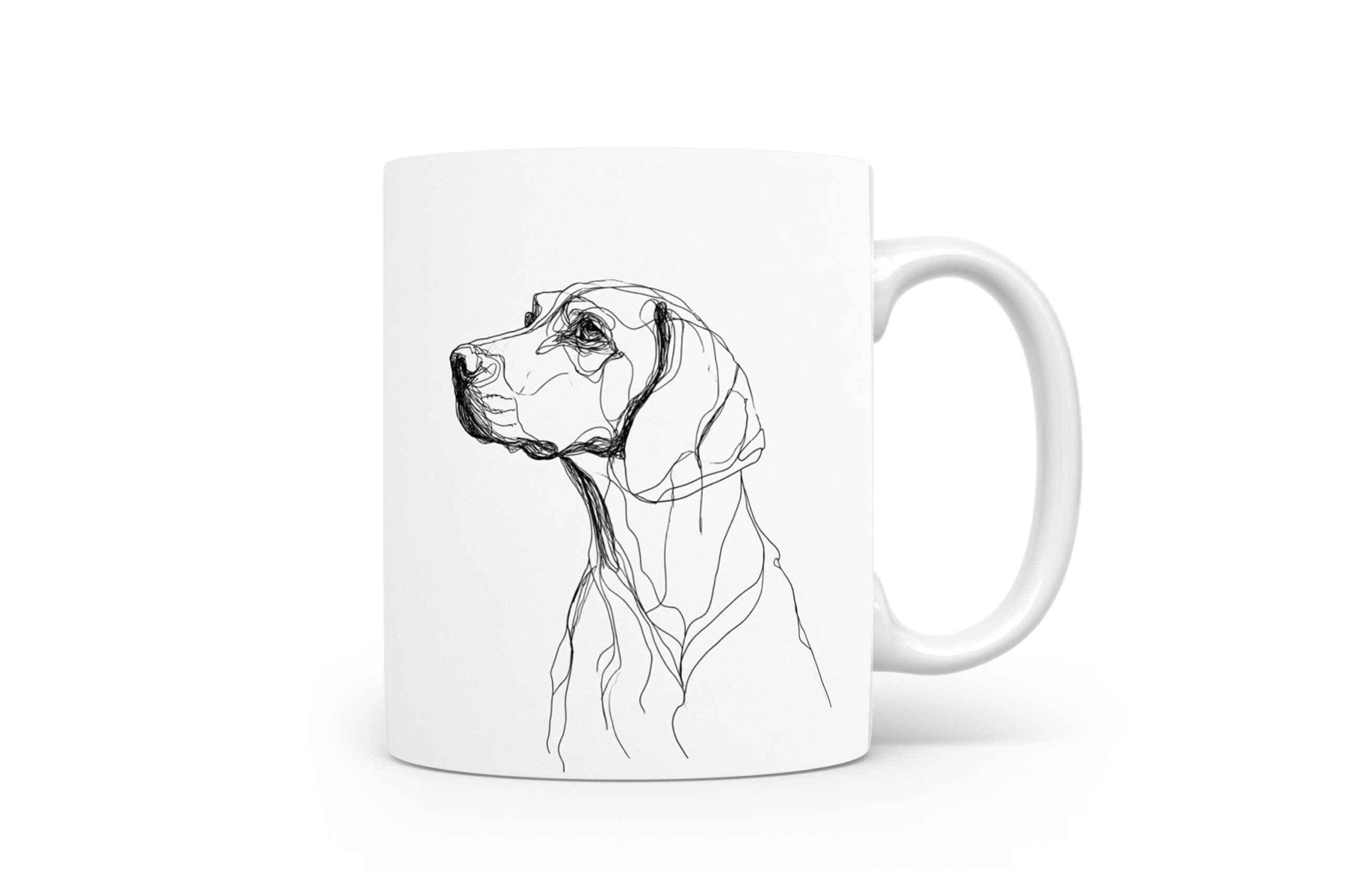 Beker Podenco Canario Podenco Canario
