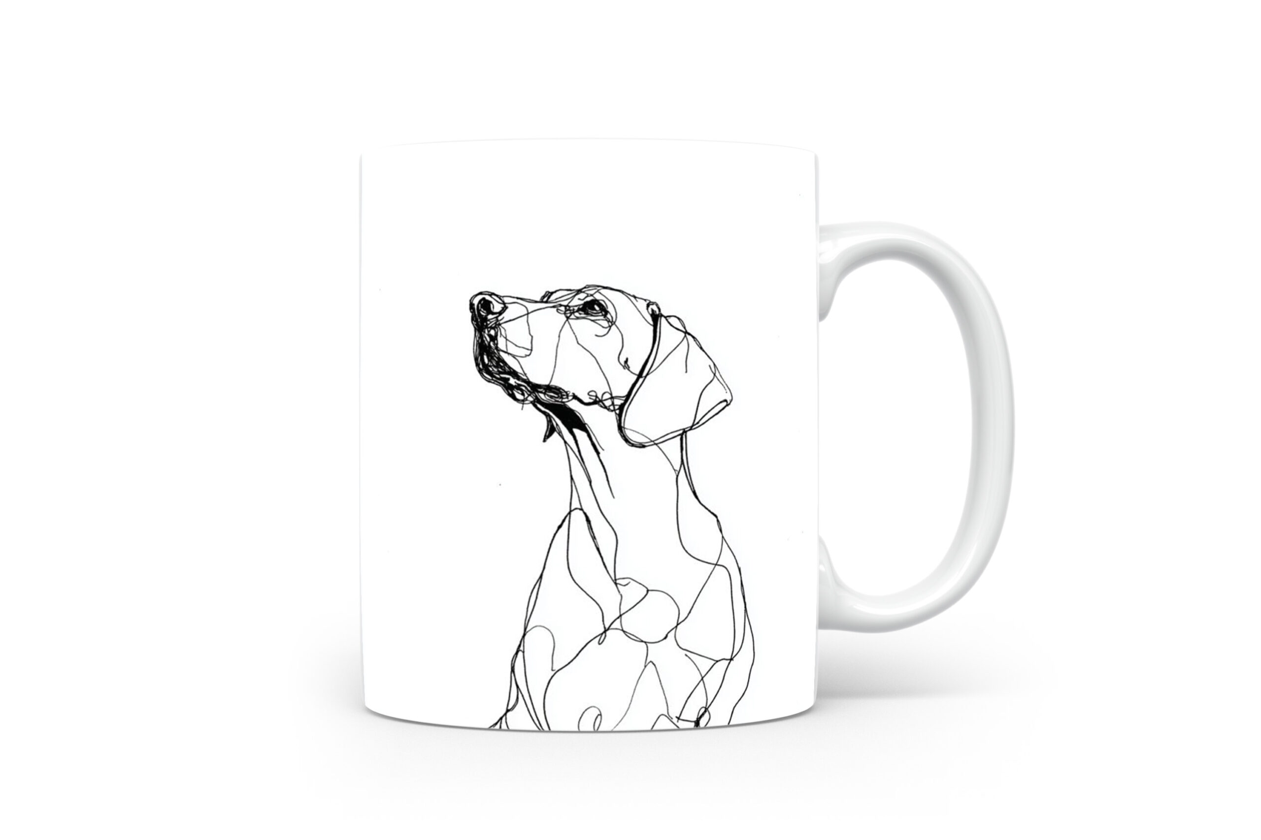 Beker Podenco Canario Podenco Canario