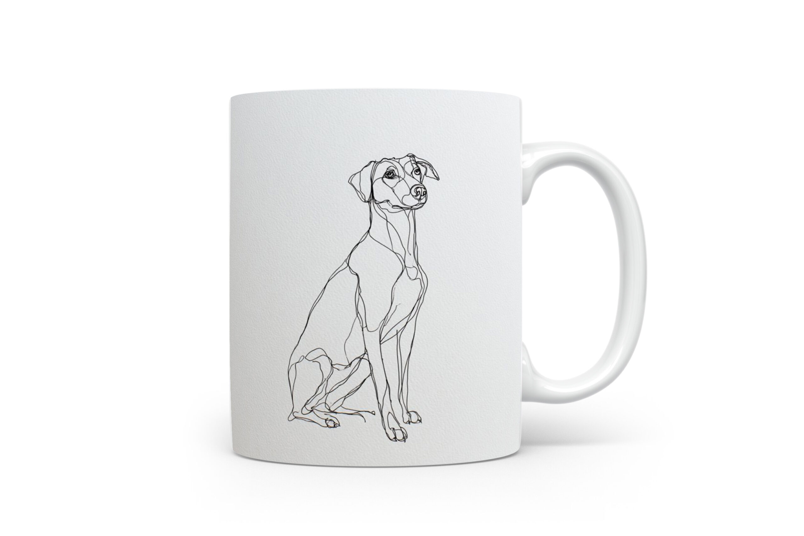 Beker Podenco Canario Podenco Canario