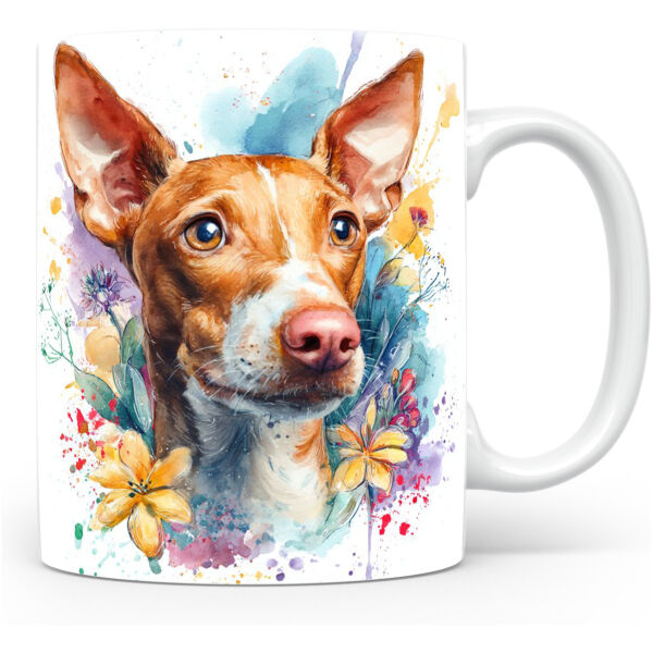 Beker Cirneco Dell’etna Cirneco dell’Etna