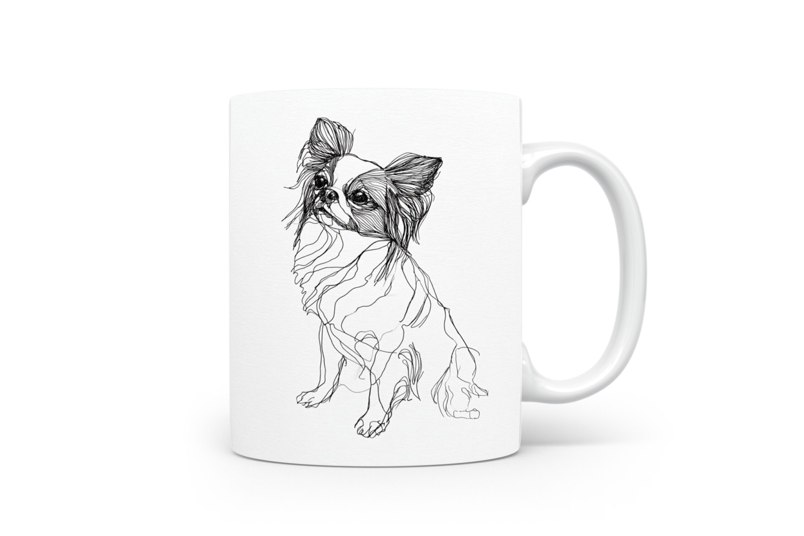 Beker Epagneul Nain Continental (Papillon/Phalène) Epagneul Nain Continental (Papillon/Phalène)