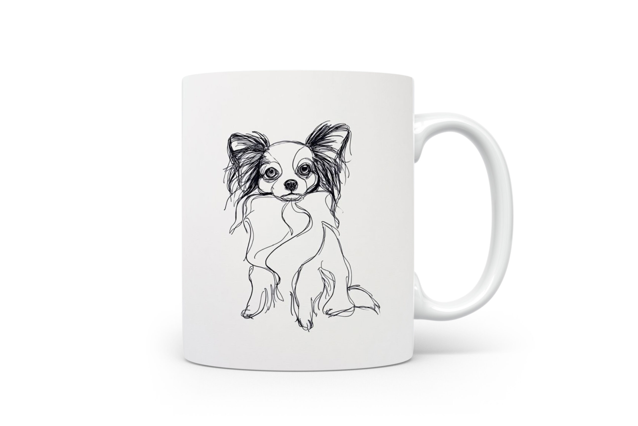 Beker Epagneul Nain Continental (Papillon/Phalène) Epagneul Nain Continental (Papillon/Phalène)