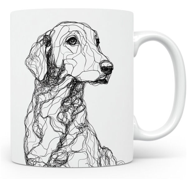 Curly Coated Retriever