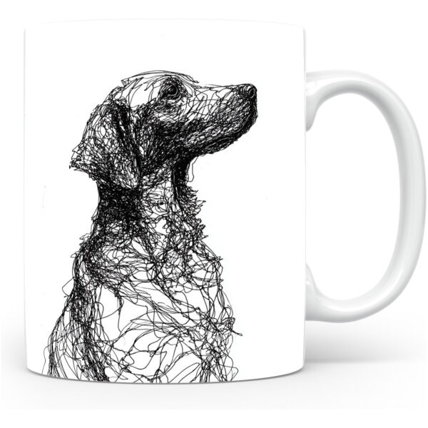 Curly Coated Retriever