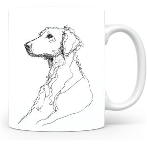 Curly Coated Retriever