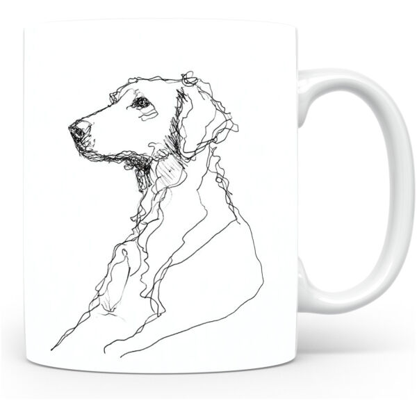 Curly Coated Retriever