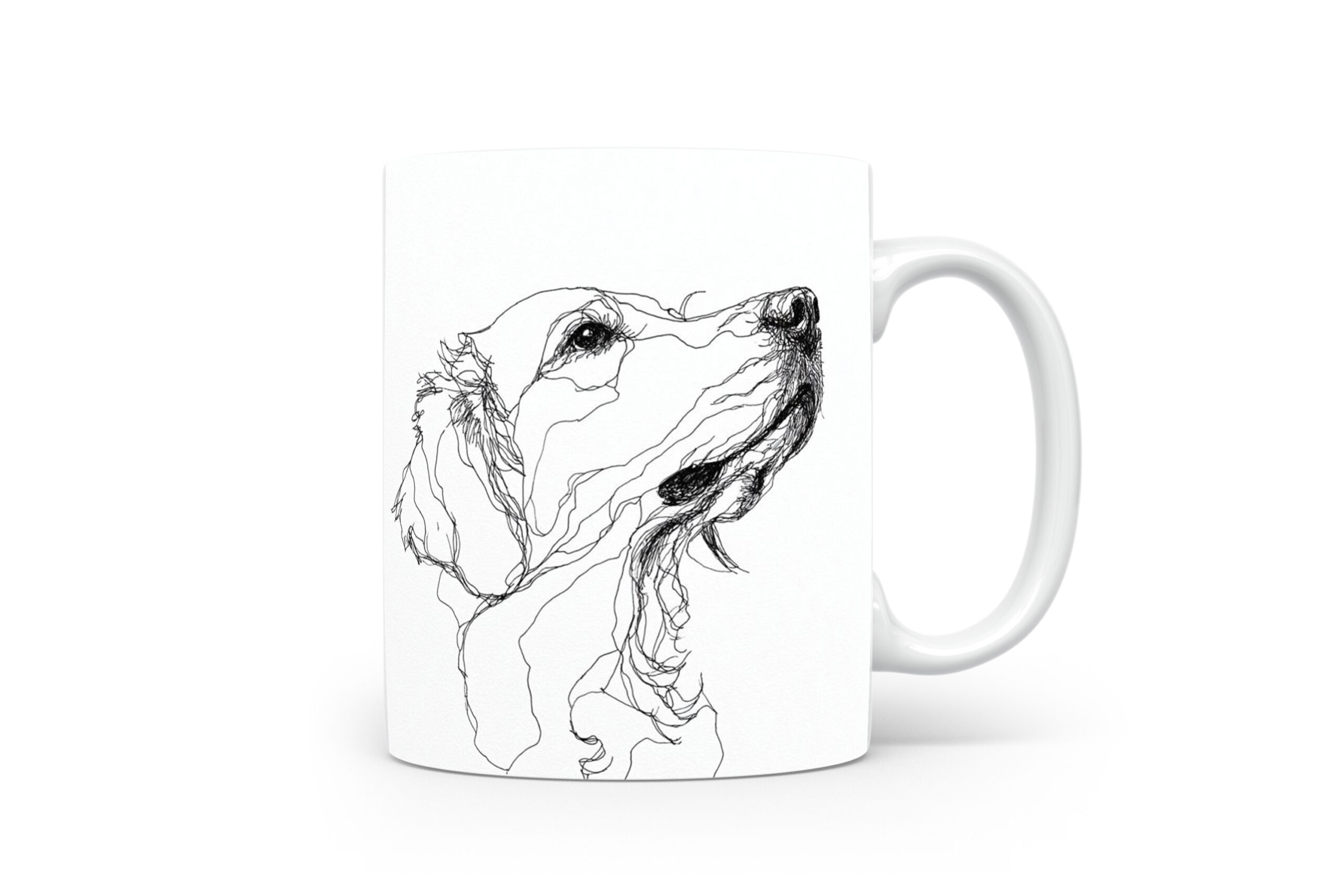 Beker Golden Retriever Golden Retriever