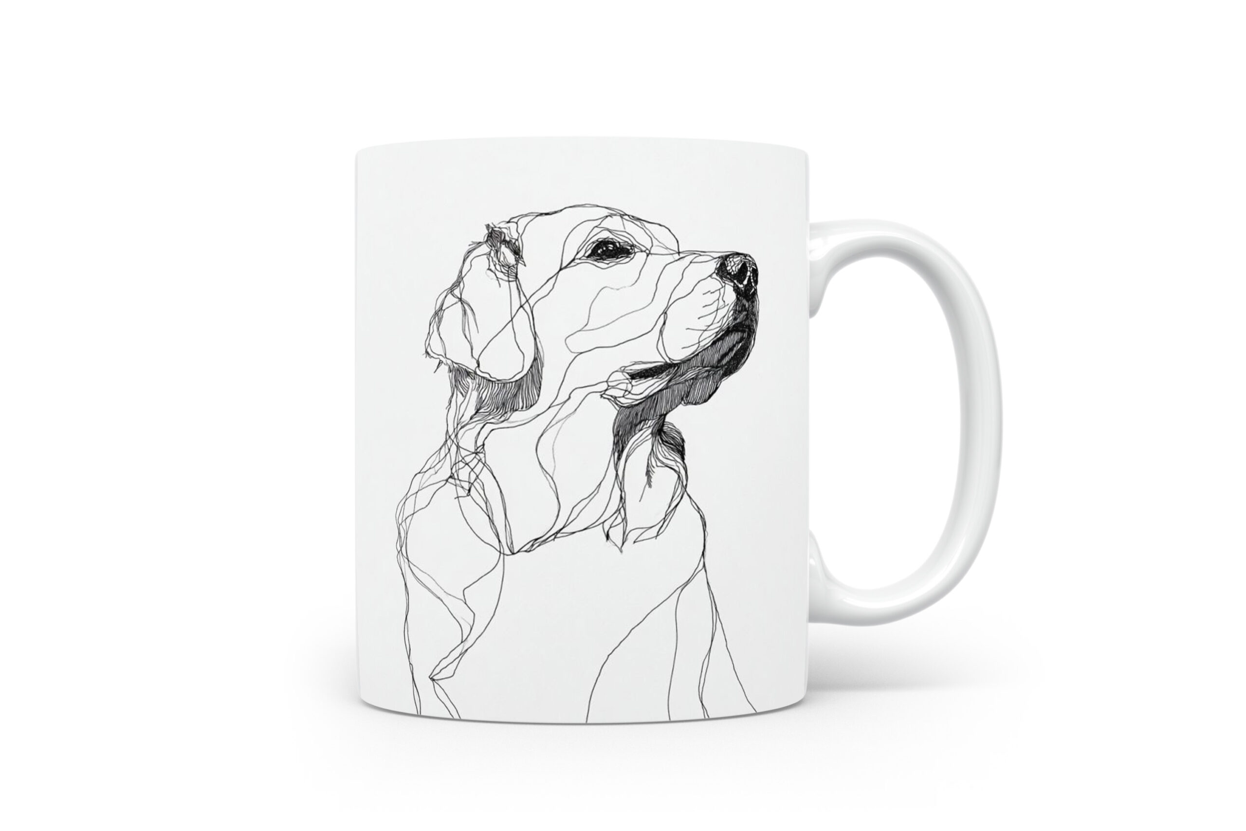 Beker Golden Retriever Golden Retriever
