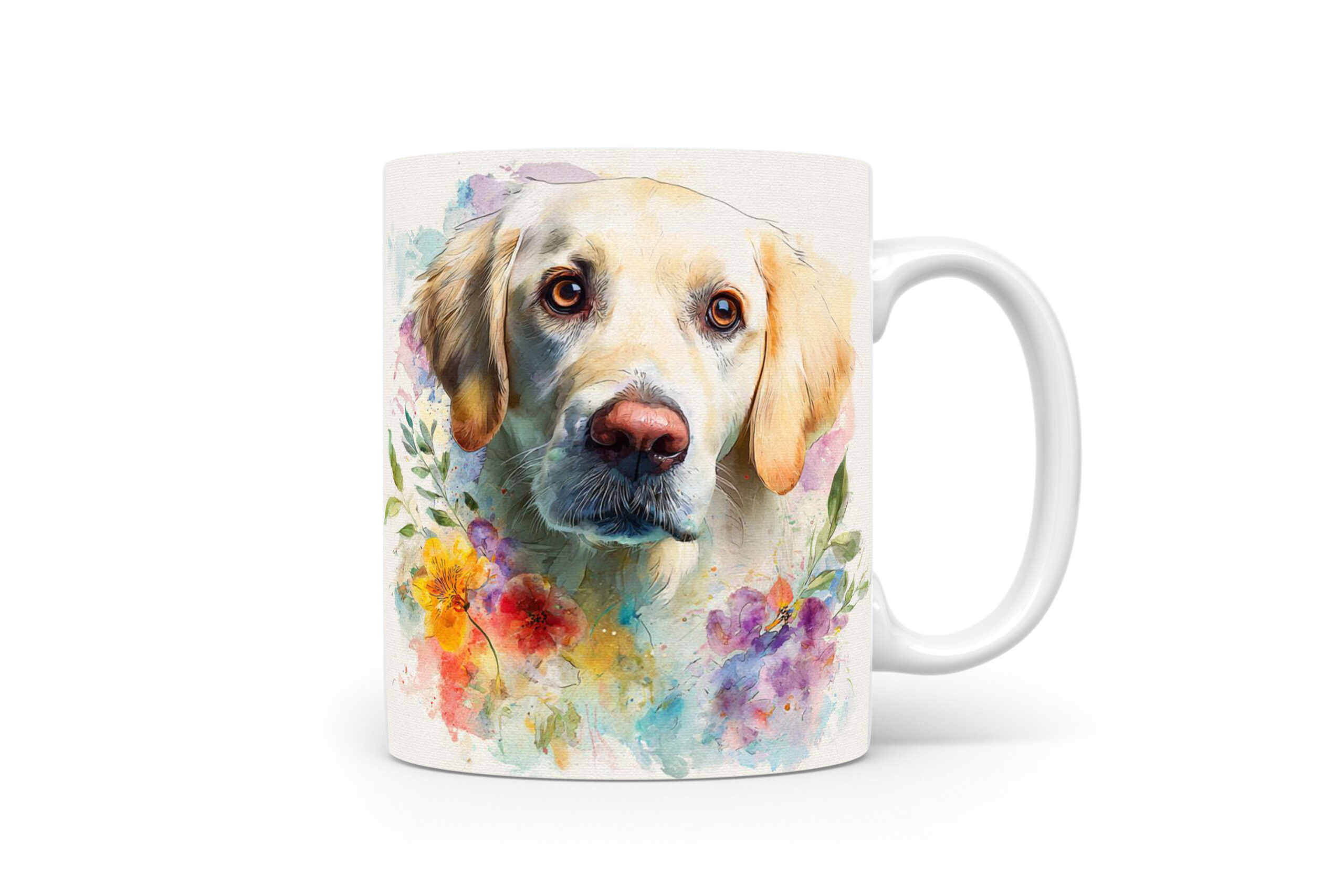 Beker Golden Retriever Golden Retriever