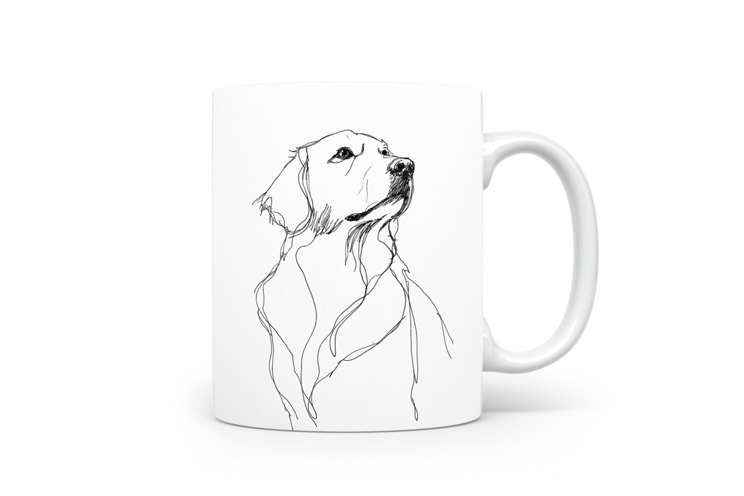 Beker Golden Retriever Golden Retriever