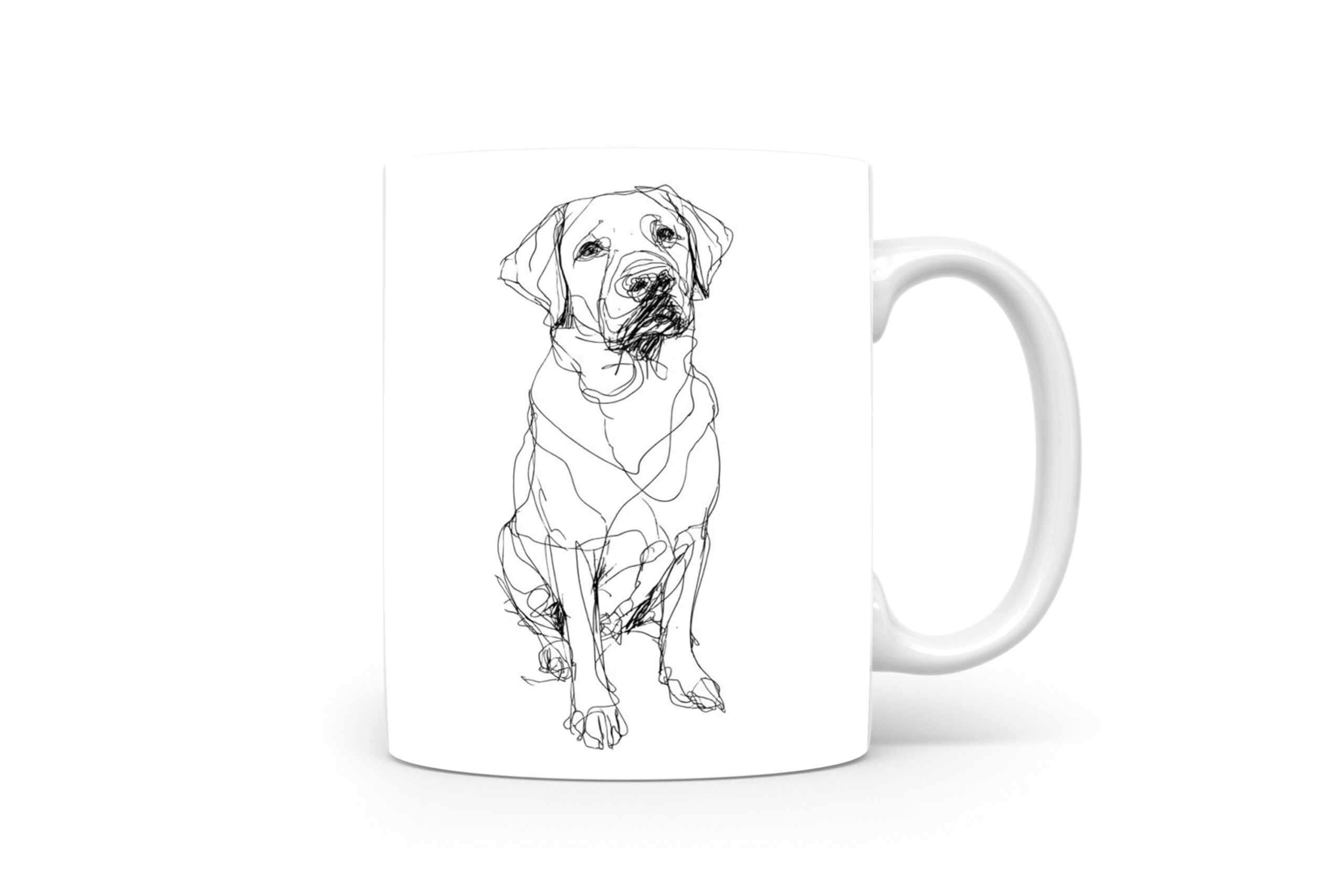 Beker Labrador Retriever Labrador Retriever