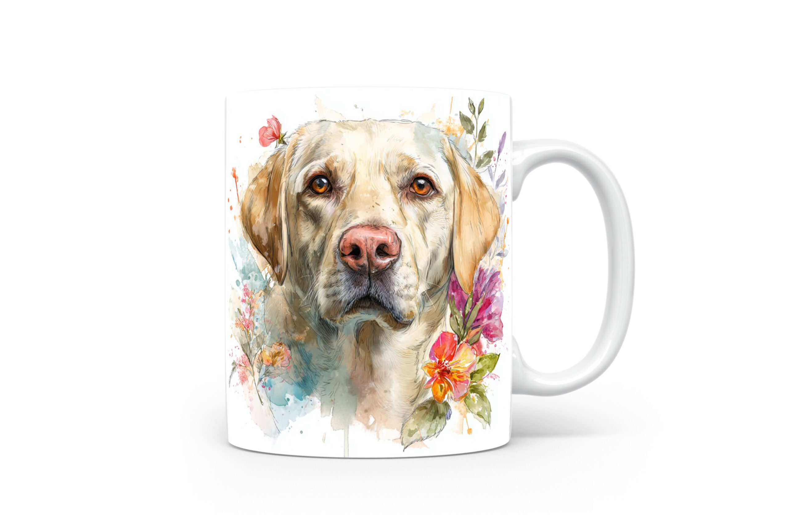 Beker Labrador Retriever Labrador retriever