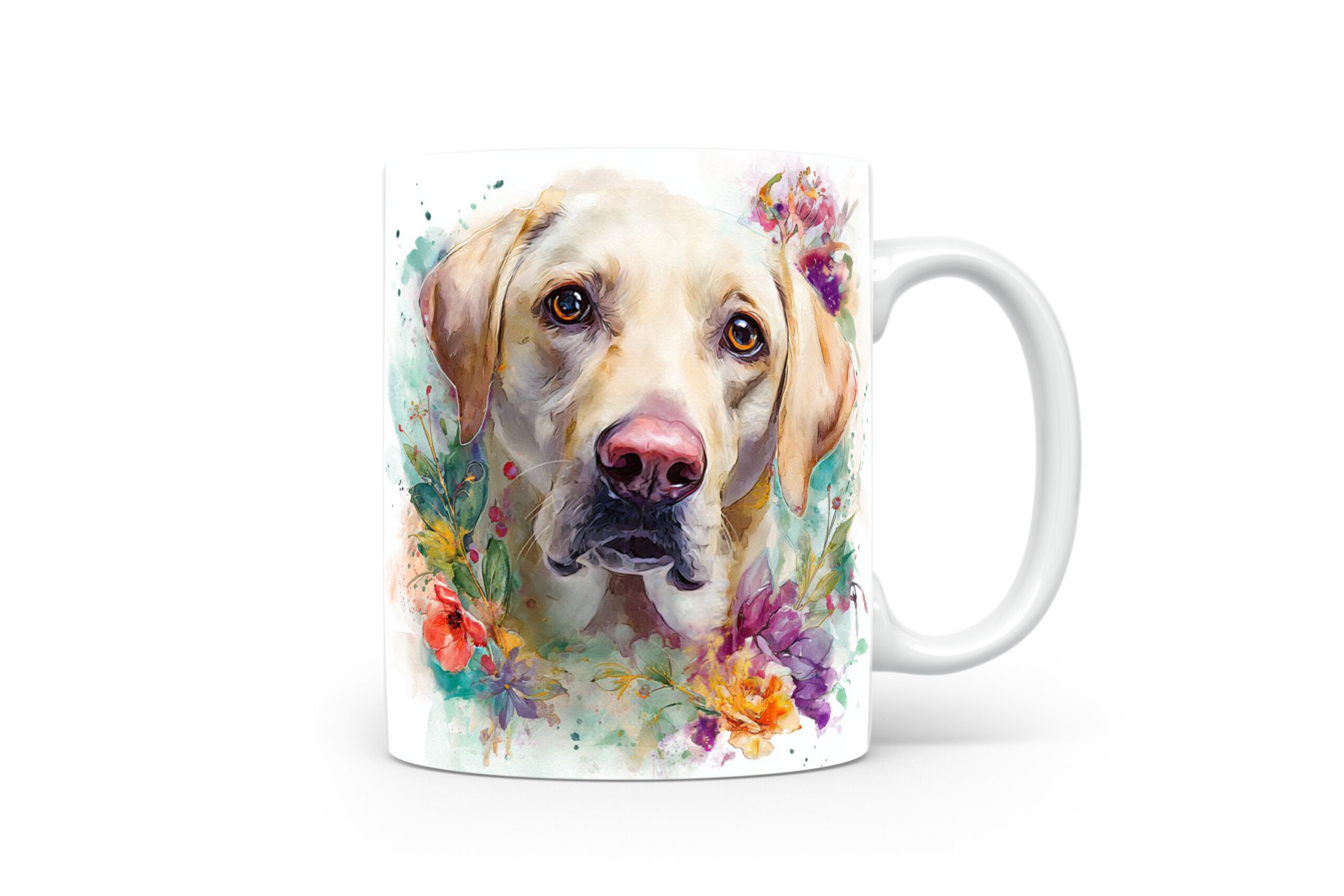 Beker Labrador Retriever Labrador retriever