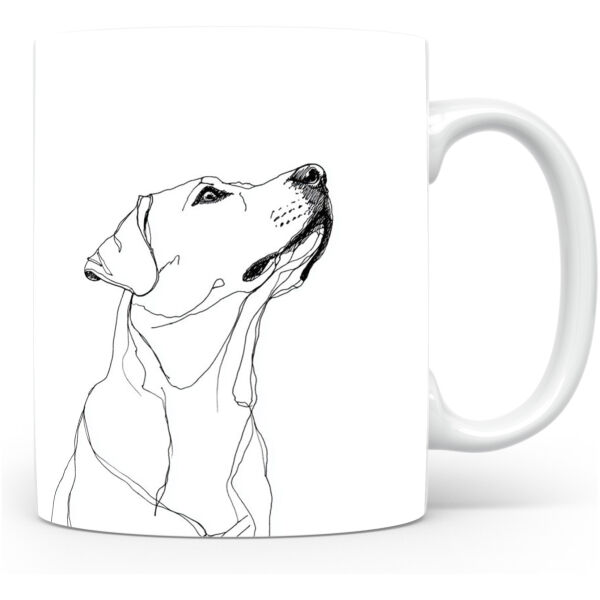 Beker Labrador Retriever Labrador Retriever