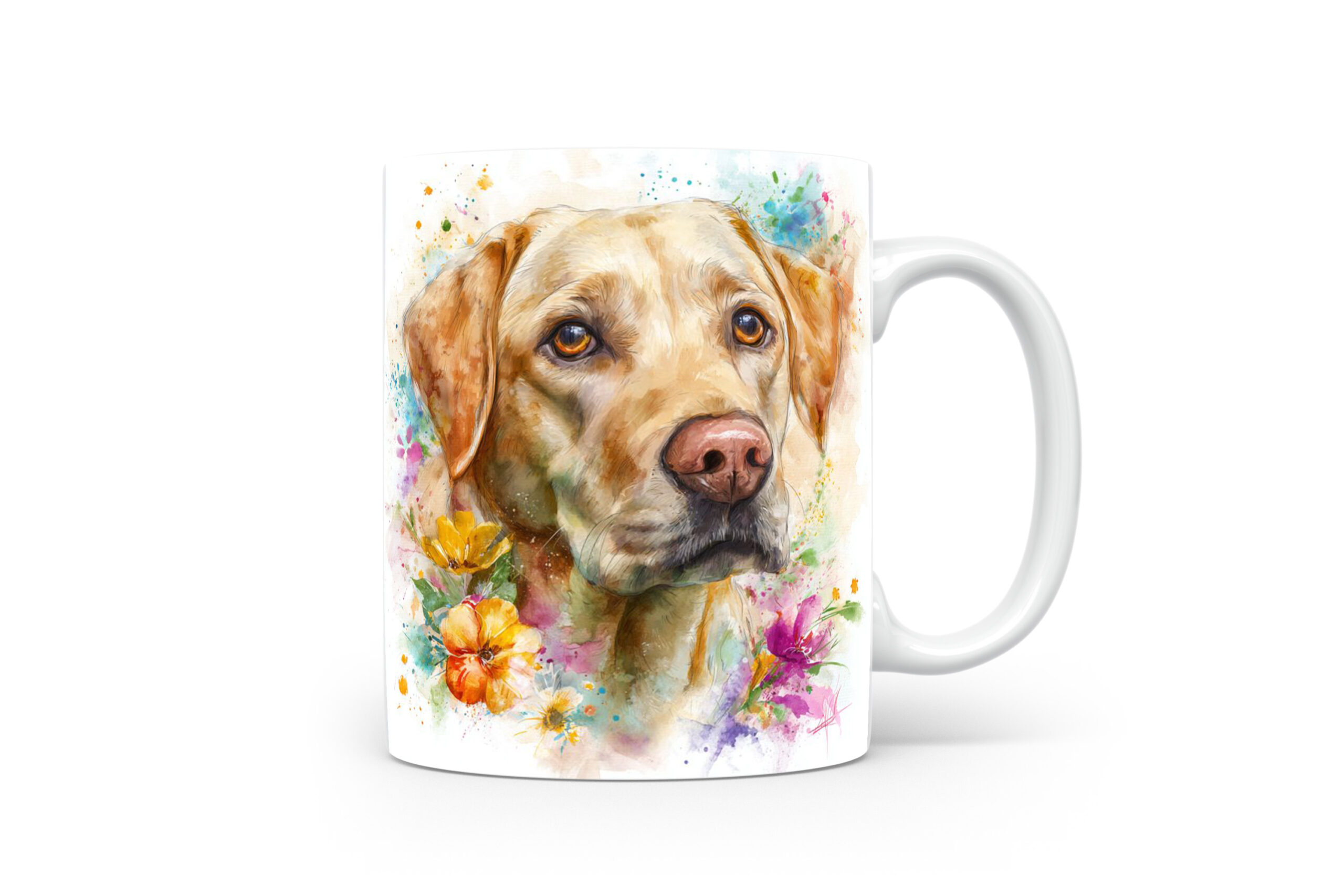 Beker Labrador Retriever Labrador retriever