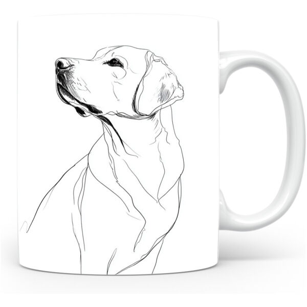 Beker Labrador Retriever Labrador Retriever