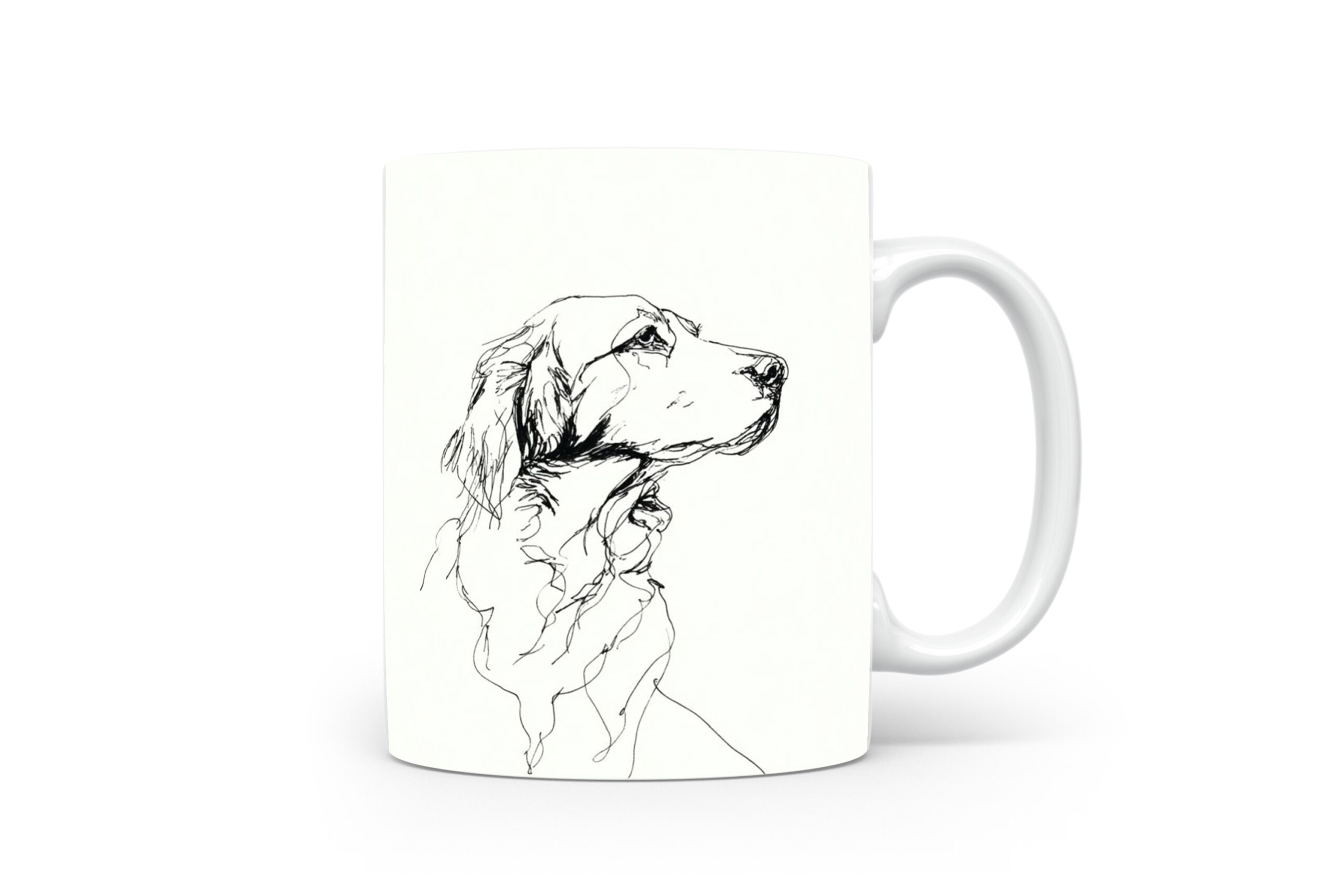Beker Engelse Setter Engelse Setter