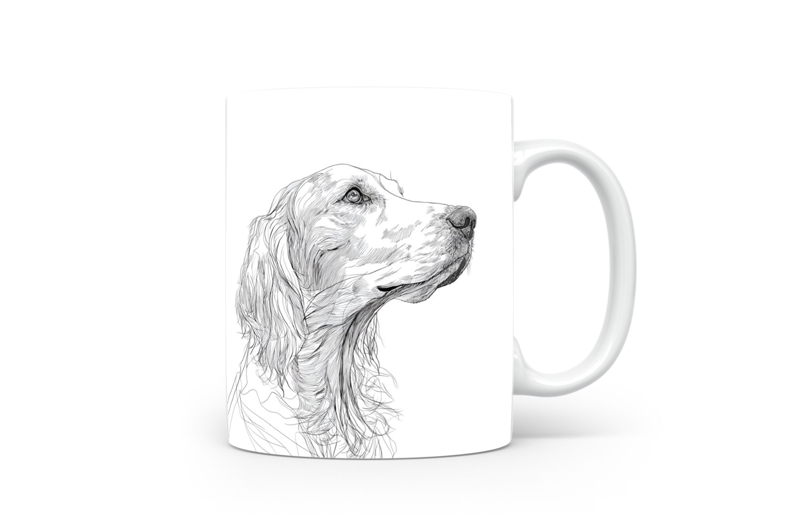 Beker Engelse Setter Engelse Setter