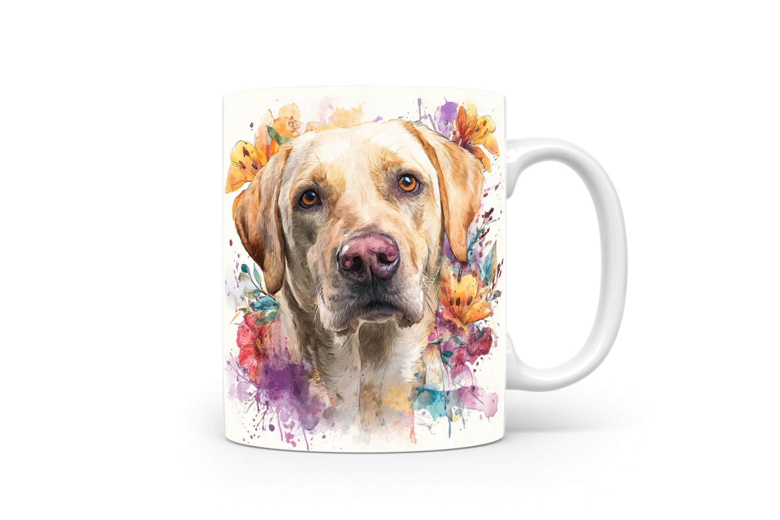 Beker Labrador Retriever Labrador retriever