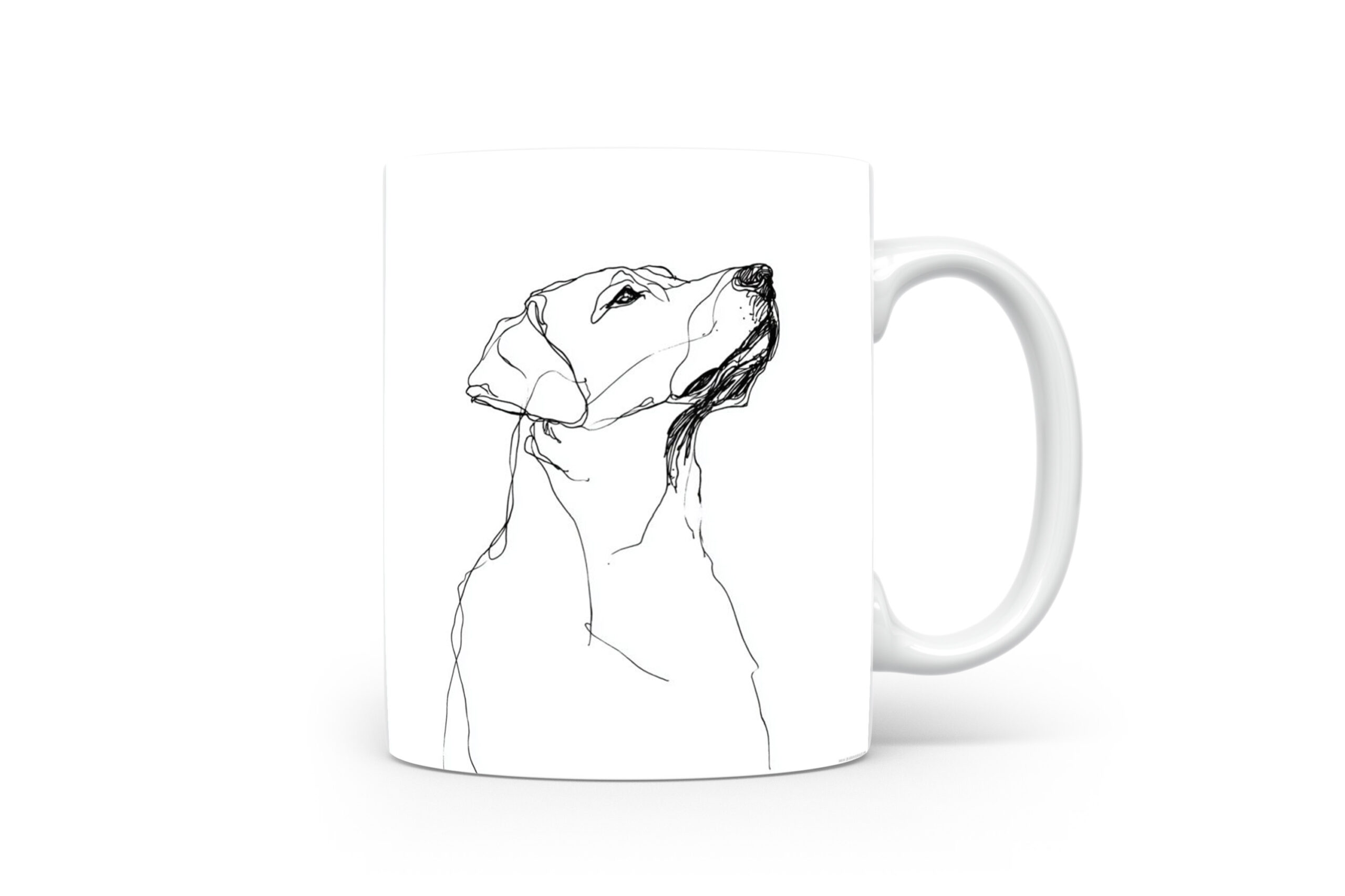 Beker Labrador Retriever Labrador Retriever