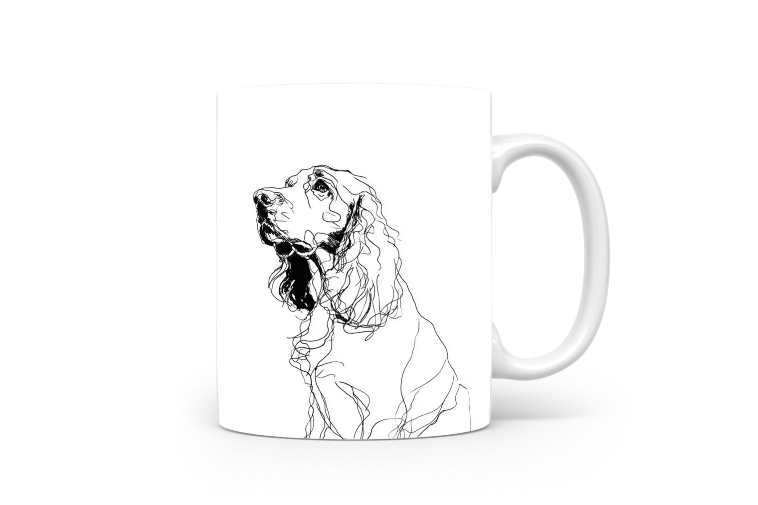 Beker Field Spaniel Field Spaniel