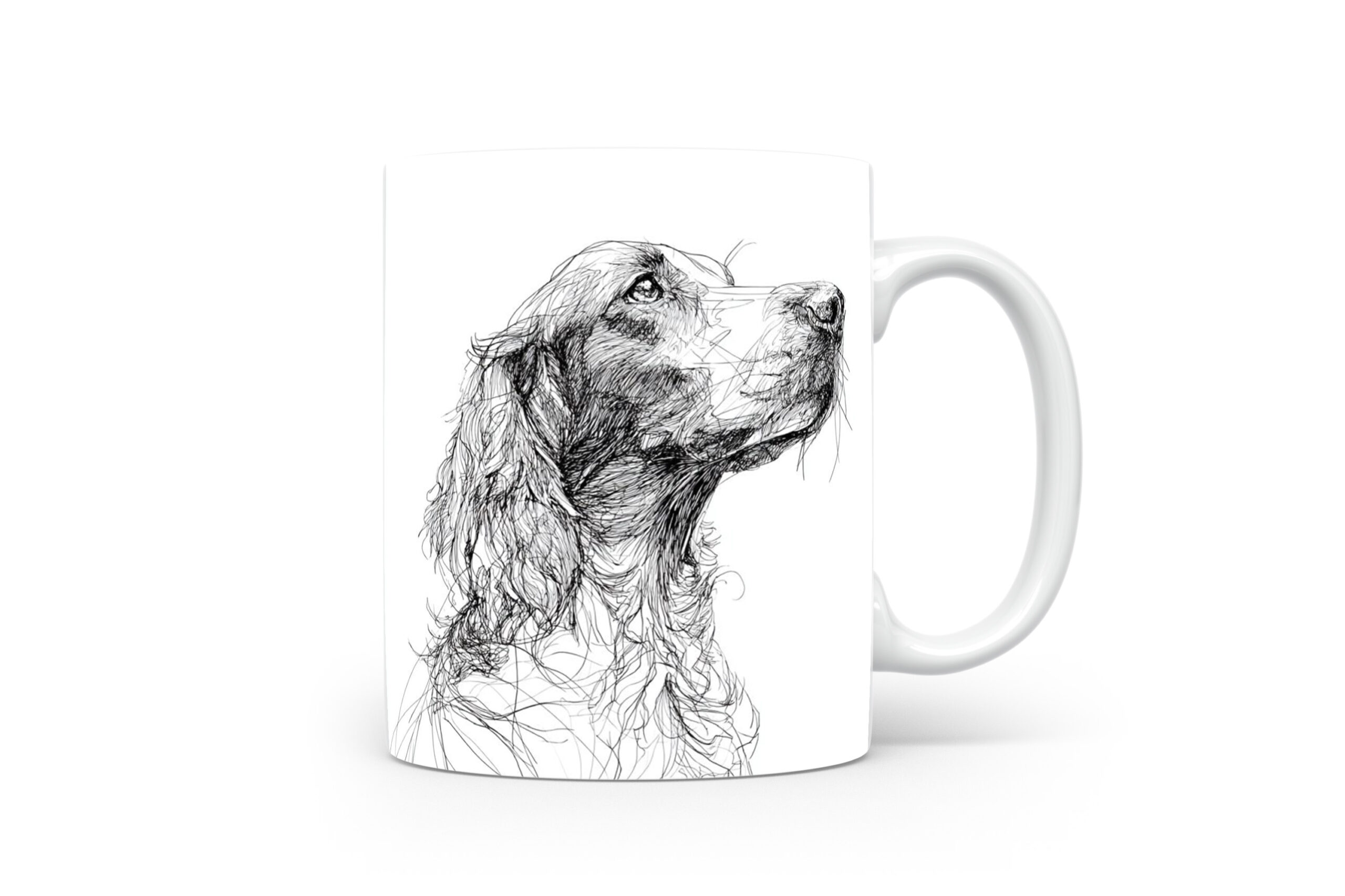 Beker Field Spaniel Field Spaniel