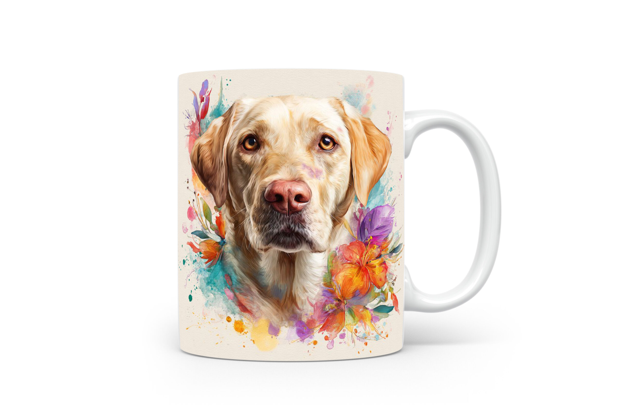 Beker Labrador Retriever Labrador retriever