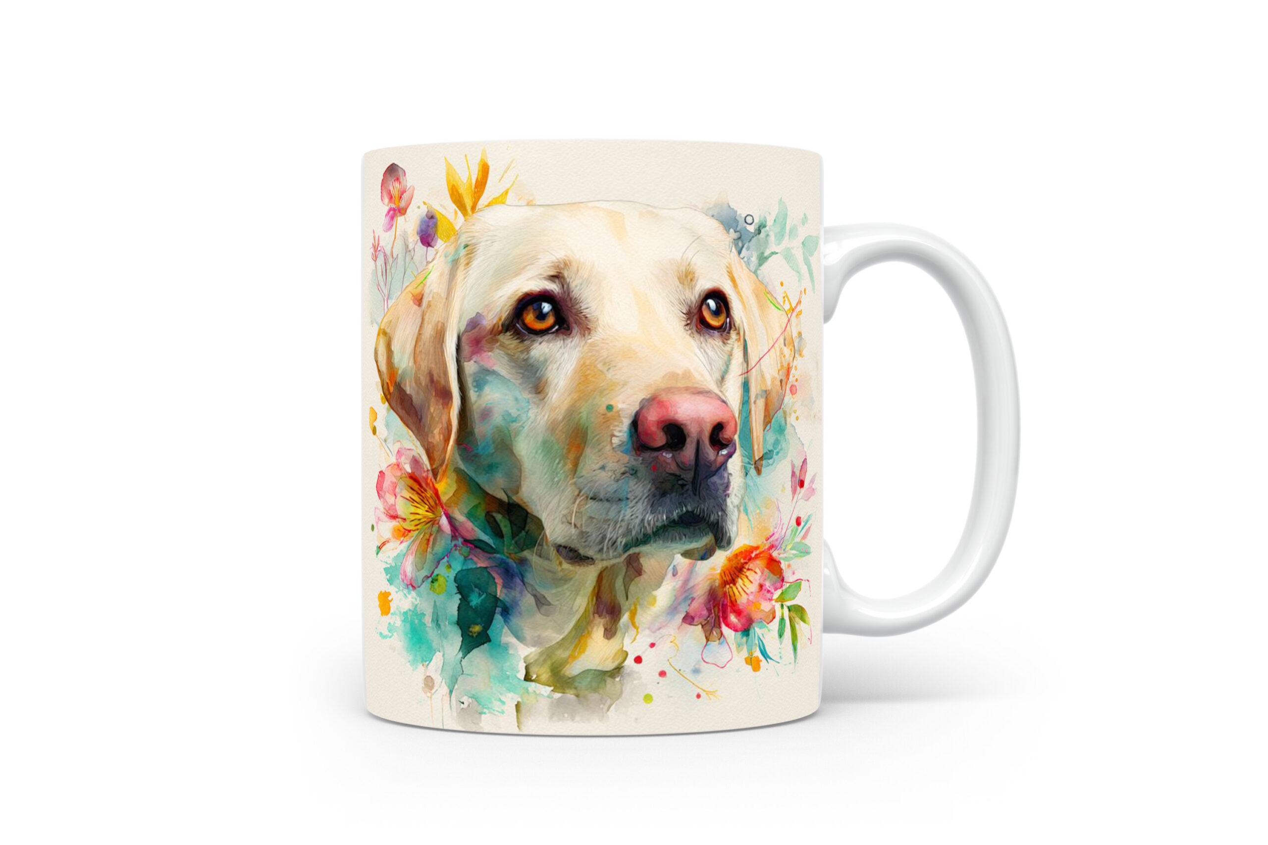 Beker Labrador Retriever Labrador retriever